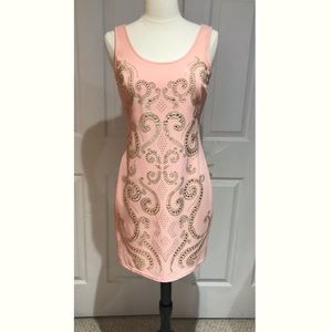 Blush Embellished Dress NWT